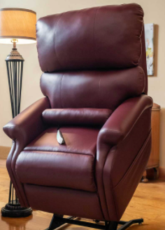 Premium Electric Power Lift Assist Recliner