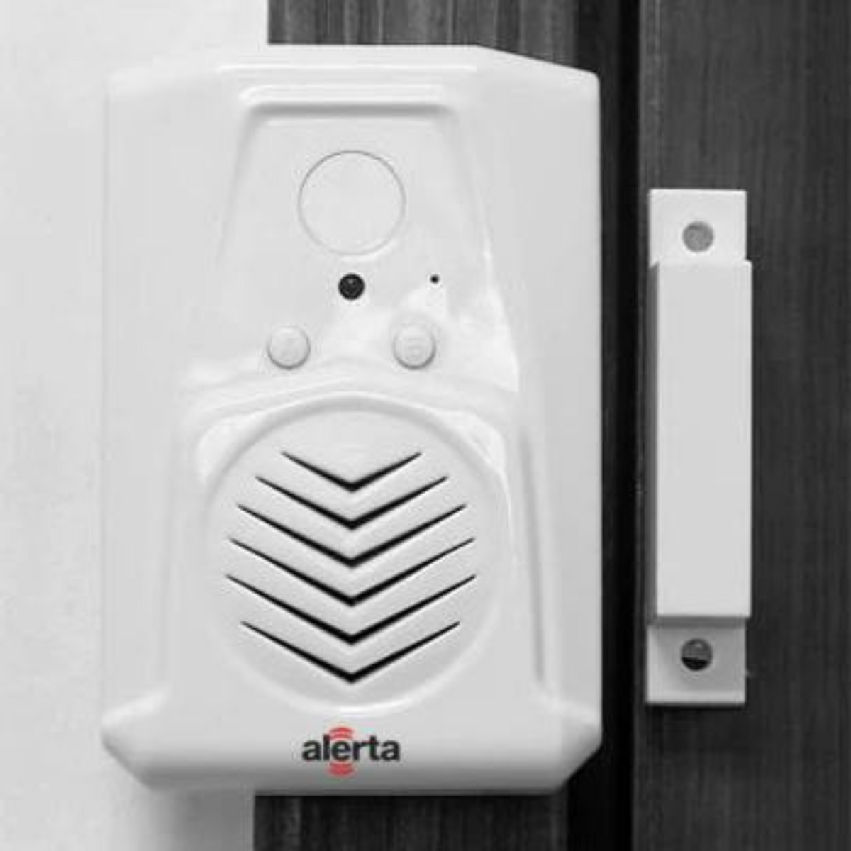 Door Open Alarm