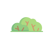 Find A Local Landscaping Service